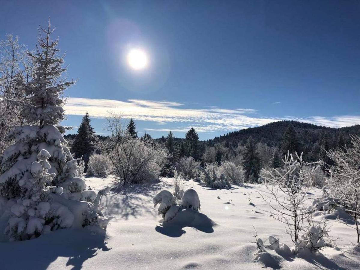 Dren Chalet Lux - Banjska Stena Perucac Luaran gambar