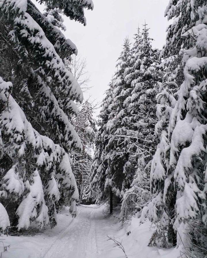 Dren Chalet Lux - Banjska Stena Perucac Luaran gambar